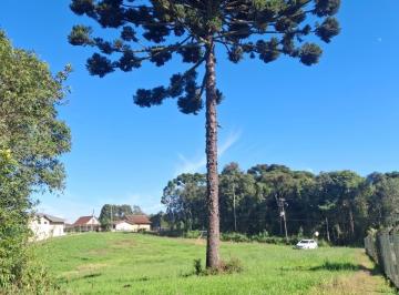Foto 01 · Terreno, Rondinha, Campo Largo, PR