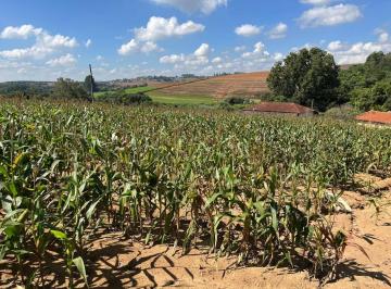 Rural · 217000m² · 1 Quarto · 10 Vagas · Sitio em Piedade