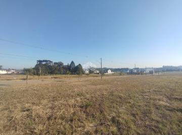 703294_iLn8L_7032946876bb83afbd0.jpg · Terreno plano pronto para construir em Linha Santa Cruz