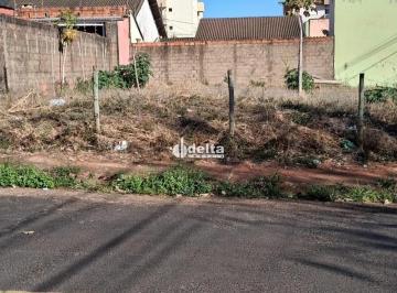 Terreno · 541m² · Terreno disponível para venda no bairro Santa Mônica em Uberlândia MG