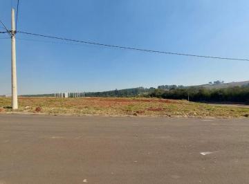 0ba3bcaf0377a14571feaddc8fed84ab65d36a1e · Terreno Industrial à venda, 750 m² - Antônio Zanaga - Americana/SP