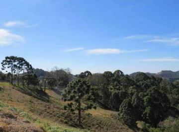 7b982ae30605852a2ce7b52cfdfeb6dd54f1d10f · Área à venda, 22000 m² por R$ 849.000,00 - Bairro Sertão do Cantagalo - Gonçalves/MG