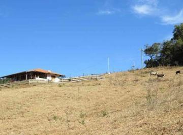 94a1187a1fb73d3fe45e15d3a8d4496fbc5141c4 · Sítio com 2 dormitórios à venda, 136000 m² por R$ 2.599.000,00 - Bairro Sertão do Cantagalo - Gonçal