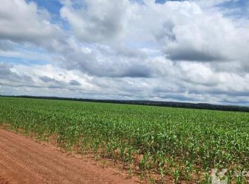 Foto 01 · Fazenda, Zona Rural, Sinop, MT