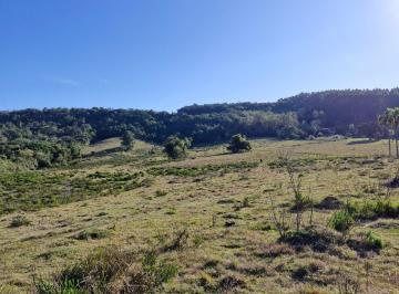 Rural , Taquara · Sítio/Chácara/Fazenda Taquara/RS na Localidade da Linha São João com 42 Hectares