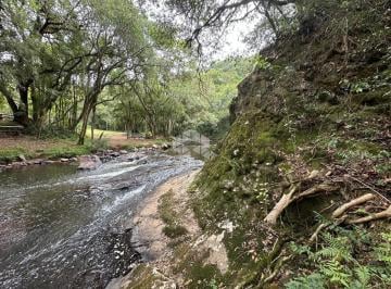 Rural · 90736m² · Chácara com 9.7 hectares em Linha 30 Farroupilha