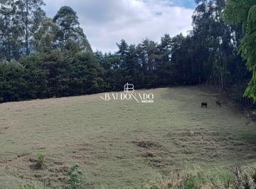 Terreno · 6000m² · TERRENO EM CAMANDUCAIA MG 6.000MTS R$ 395MIL AGUA MINA
