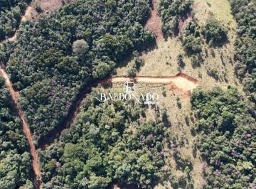 Terreno · 7000m² · Área 21.000m  em Toledo-MG | Ideal para Chalés nas Montanhas