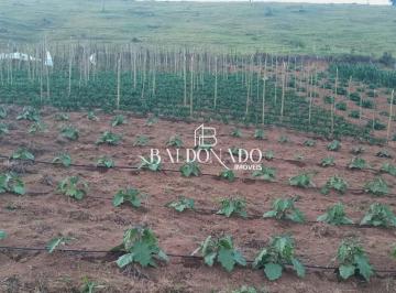 Terreno · 2000m² · TERRENO EM ESTIVA MG À VENDA 2000 METROS PRÓX A CACHOEIRA CAMINHO DA FÉ