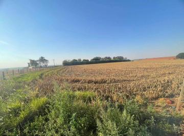 Rural · 96800m² · Sítio em Centro, Cardeal (Elias Fausto)/SP de 0m² à venda por R$ 2.785.000,00