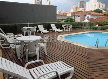 354241_i7sLj7762n7U6Dy_35424169e24e37e9cd4.jpg · Imoveis - no Santa Teresinha