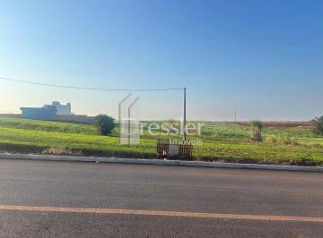 Terreno · 515m² ·
Terrenos - Floresta