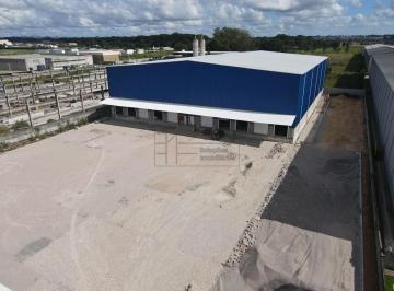 Comercial · 3000m² · Pavilhão/Galpão - São José dos Pinhais, Avenida Guatupê