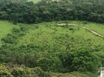 202507240939178466.jpg · Terreno para Venda em Pedra Bela, .