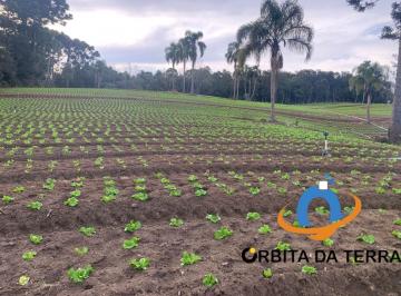 Foto 05 · Terreno à venda em Curitiba-PR, bairro Umbará, com 21.000,00 m² de área - Imperdível oportunidade no