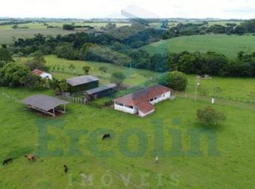 Foto 01 · FAZENDA À VENDA EM ITAPETININGA - SP