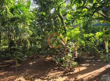 Imagem do Imóvel · TERRENO DE 1094 MT2 NA MAQUINHA, COM CASA CAIÇARA E VARIAS ARVORES FRUTIFERAS , PROXIMO DE TODA A IN