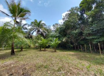 Terreno , Itacaré · Sítio em Itacaré, BA - com Riacho