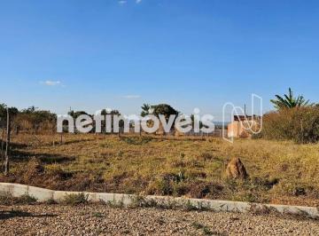 dcf3243b-0952-4fa3-9369-97ce79f25232.webp · LOTE 26 DE SETEMBRO RUA 4