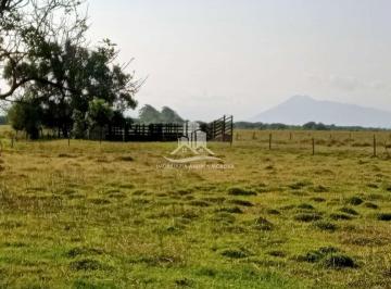 Terreno · 350000m² · Terreno à Venda – Bairro Campos Novos
