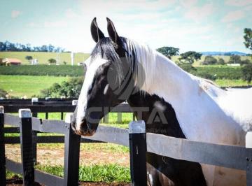 0 · Terreno a venda Haras Patente Jaguariúna