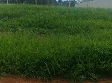 202507251034117557.jpg · Terreno para Venda em Capela do Alto, Residencial Paineiras