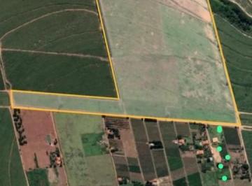 202507251621472317.jpg · Área Rural para Venda em Elias Fausto, Cafezal
