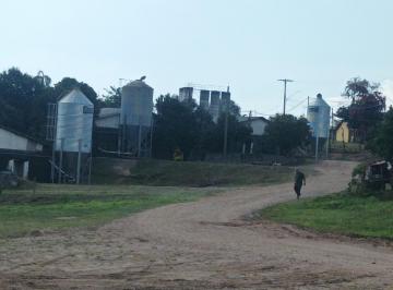 Rural , Bofete · Investimento garantido 12 alq. 7 aviarios automatizados