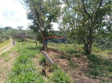 135824_iSjPv3PN18181_135824688287c871890.jpg · Terreno à venda na Estrada para Monteiro Lobato SP50