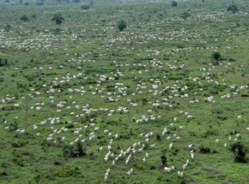 Rural de 28 quartos, Goiás · FAZENDA EXCLUSIVA EM GOIÁS 