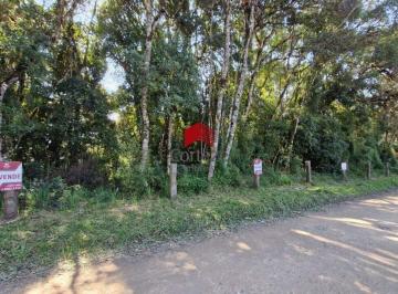 Terreno · 20000m² · Área Rural com 20.000m² , à venda, no bairro Borda do Campo em São José dos Pinhais