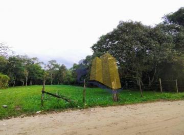 68d8ec3d6ee672537b08e415c712ec357686c0e7 · Terreno, 6000 m² - venda por R$ 800.000,00 ou aluguel por R$ 3.500,00/mês - Chácara vista - Bertioga