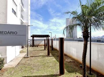 DSC_20260623_181821_000.jpeg · Atraente apartamento para venda em Vila Guilherme com 2 quartos, 41m² - remaxmamede#YNRPP