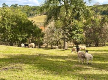 3260016530.jpg · Sítio Rural