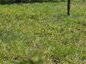 image-1 · Lote Jardim Terra branca
