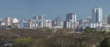 Apartamento de 2 quartos, Curitiba · Bem-vindo ao empreendimento moderno sofisticado no coração do Bigorrilho