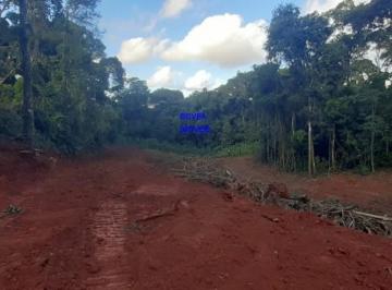 Foto 14 · CHÁCARA 7 MILM², ESCRITURADA, ACEITA VEICULO, ESTUDA PERMUTA OU PARCELAMENTO C/ PROPRIETÃRIO, FICA A