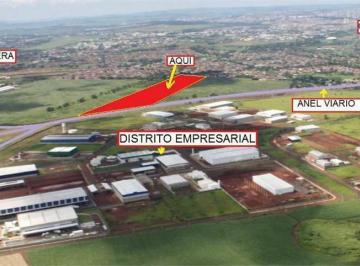32eb654e784d7af1e2f5119daee03fdacd23c47f · Área à venda, 145200 m² por R$ 50.820.000,00 - Adelino Simioni - Ribeirão Preto/SP