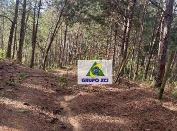 60e722e3fc7f1a74d959723fb5c6e69d205e44c7 · Fazenda à venda, 2420000 m² por R$ 7.500.000,00 - Itapirapua Paulista - Itapirapuã Paulista/SP