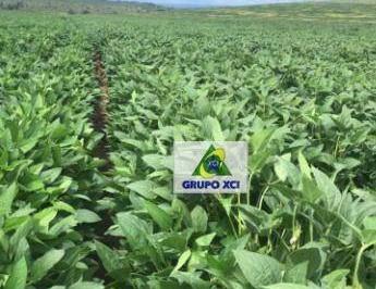 1bef0d664332dc209871bdf8f4d8c9028c7815af · Fazenda à venda, 4000000 m² por R$ 20.000.000,00 - Zona Rural - Água Boa/MT