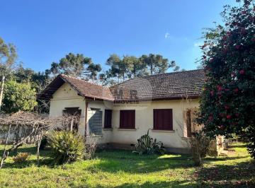 Foto 01 · Area, Linha Brasil, Nova Petrópolis, RS