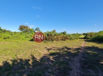 202507281801585008.jpg · Granja para Venda em Ceará-Mirim, Ceará Mirim