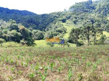 d6ala882odgymwu1ndexmjhk_md · Área, terreno para plantar, sitio, riacho, pomar investimento,  Anitápolis - SC