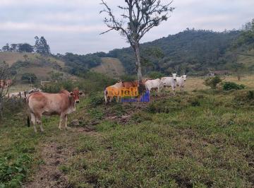 xgq4sm2odg3ogq1mwi5zta4_md · Terreno, sitio Santo Amaro para cavalos, vacas comercio .13.816 m 2 bom acesso