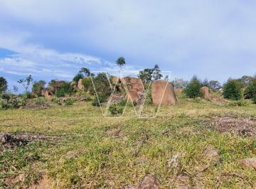 Terreno · 42000m² · 1 Quarto · Chácara para venda em Joaquim Egídio de 42000.00m² com 1 Quarto