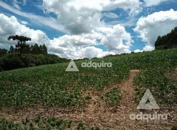 Rural · 10m² · 1 Quarto · Chácara em Centro, Palmeira/PR de 10m² 1 quartos à venda por R$ 1.000.000,00