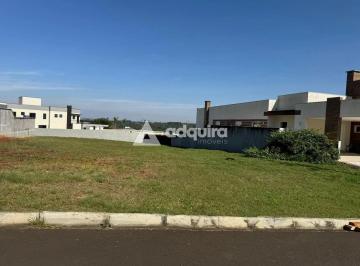 Terreno · 10m² · Terreno em Estrela, Ponta Grossa/PR de 10m² à venda por R$ 740.000,00