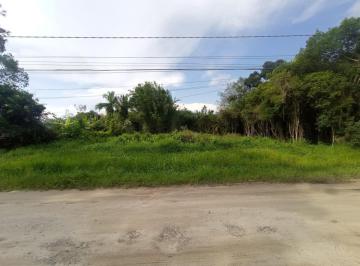 202507291015491157.jpg · Terreno para Venda em Itanhaém, Gaivotas