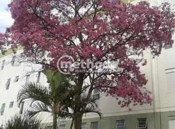 nSCYCWOATCwR32nnVDVT_6KHNJofttQRBrMLBzh6NczRFMXnSVr-f-4Oa9GJDo8z3n5Ze0Z-3QpwATV4IakhOtelMKNJ6jjl_JzkHDFPnsa5-Q=w1920-h1080.jpg · Apartamento com 2 dormitórios à venda, 50 m² por R$ 185.000,00 - Vila Padre Manoel de Nóbrega - Camp