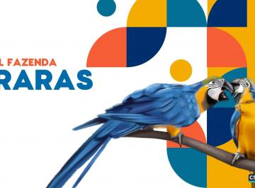 Rural de 99 quartos, Formosa · Hotel Fazenda Araras em Formosa - GO! - Um Paraíso Rural de Oportunidades